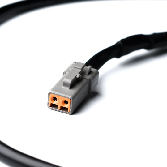 : DTP-06-2S Male to 2-Way DTP04-2P-U Unbalanced Female Splitter rear angle view